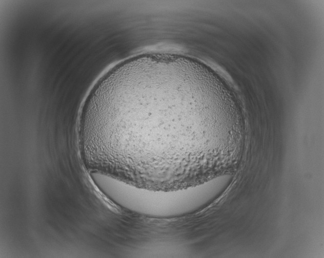 X0000082691248200702161716