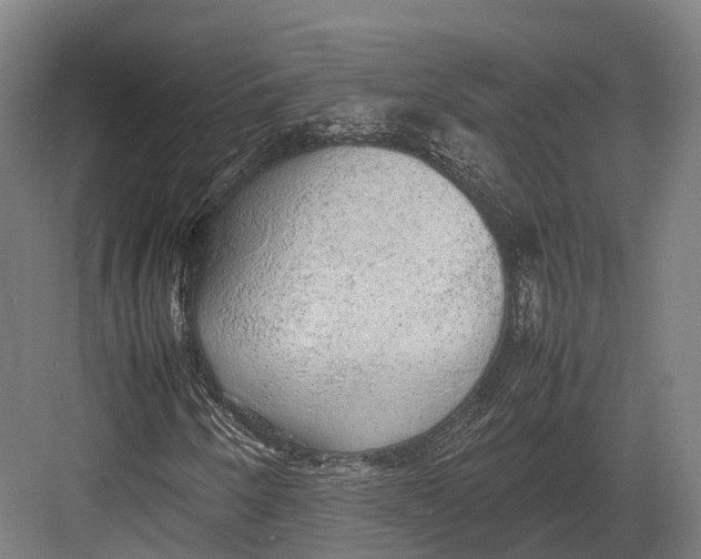 X0000082691250200702161715