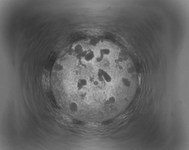 X0000082691251200702161715