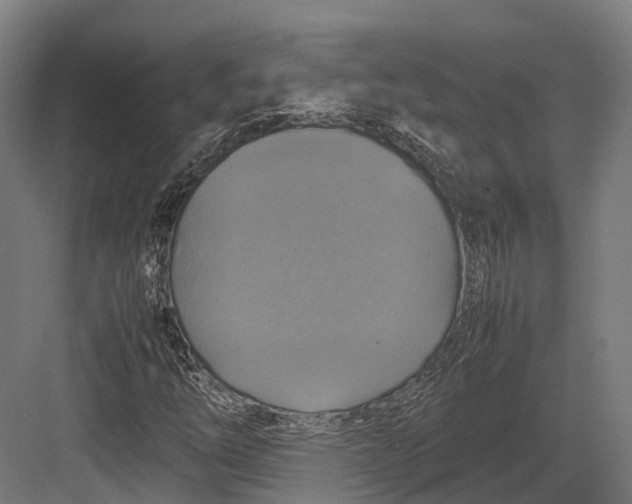 X0000082691254200702161715