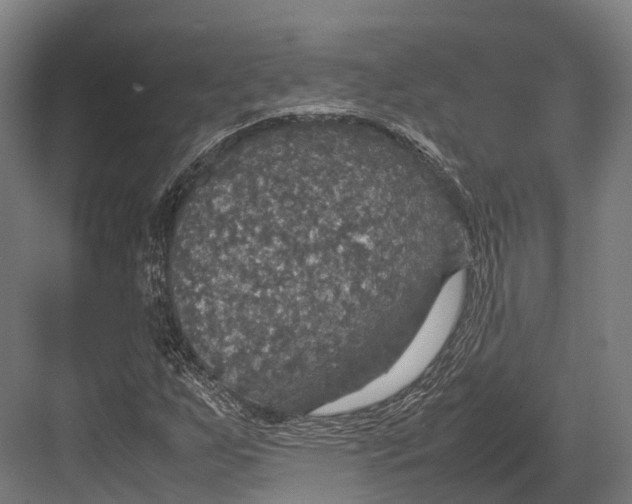 X0000082691255200702161715