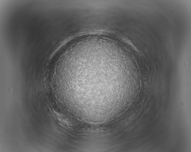 X0000082691256200702161715