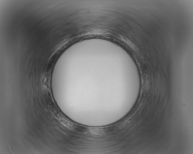 X0000082691258200702161715