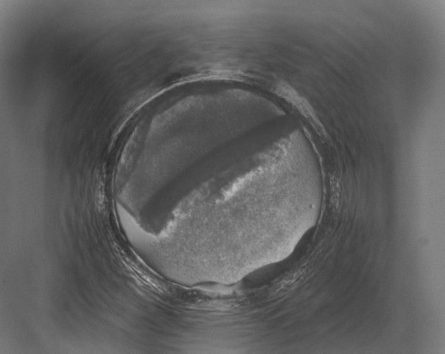 X0000082691260200702161715