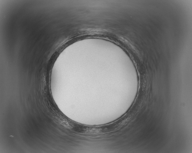 X0000082691261200702161715