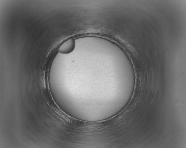 X0000082691262200702161715