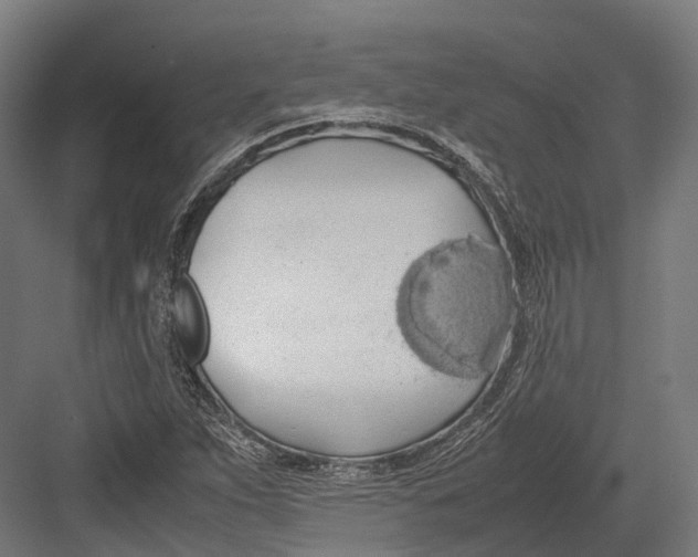 X0000082691263200702161715