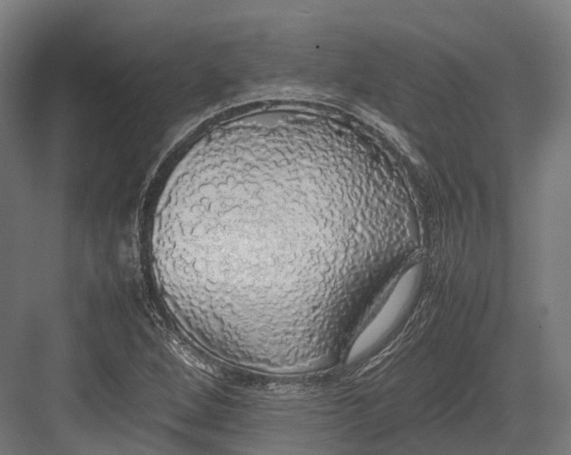 X0000082691264200702161715