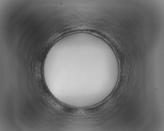 X0000082691265200702161715