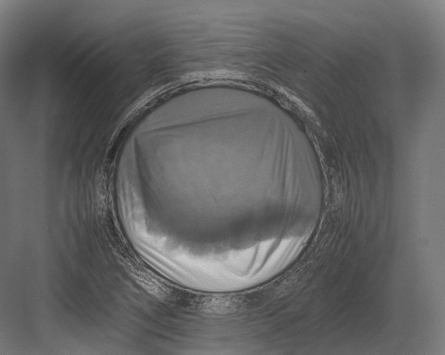 X0000082691266200702161715