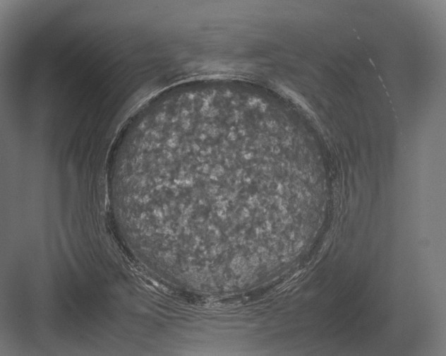 X0000082691267200702161715