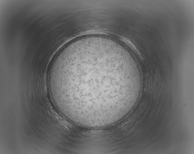 X0000082691268200702161715