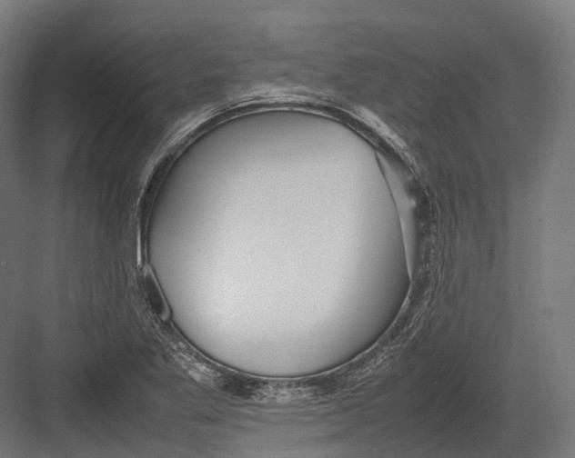 X0000082691269200702161715