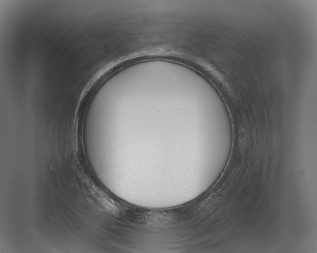 X0000082691270200702161715