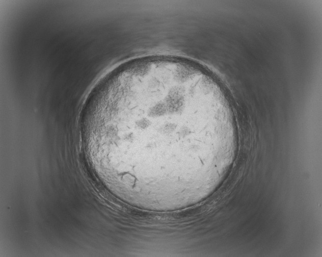 X0000082691271200702161715