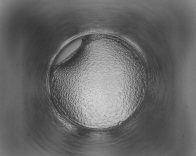 X0000082691272200702161715