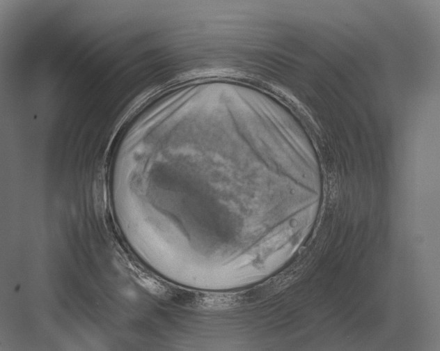 X0000082691274200702161715