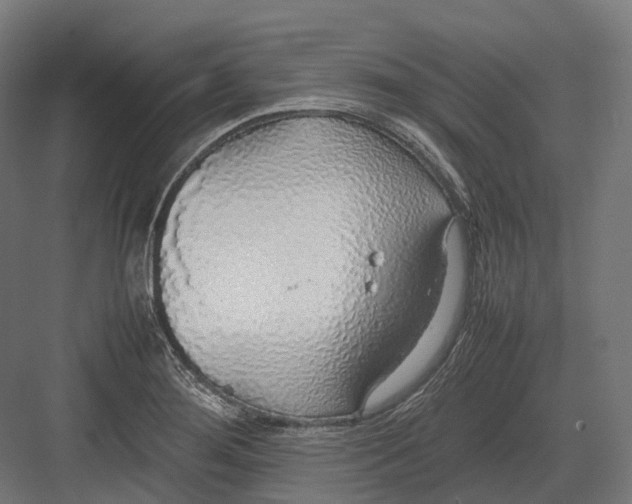 X0000082691276200702161715