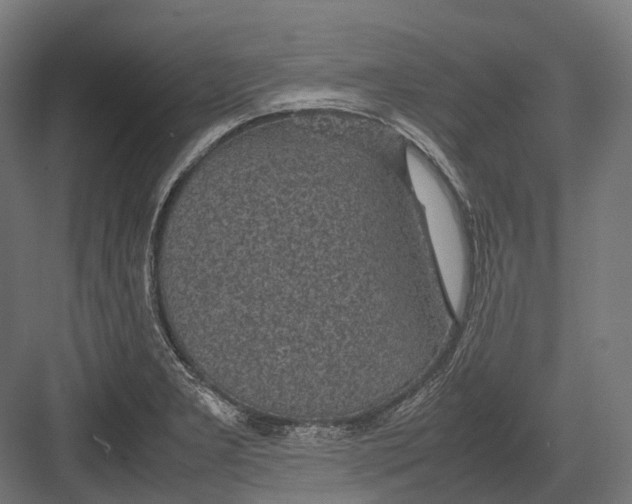 X0000082691277200702161715