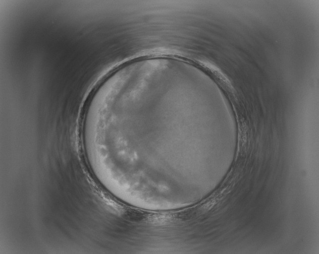 X0000082691278200702161714