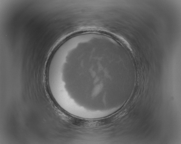 X0000082691279200702161714