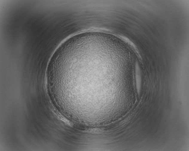 X0000082691280200702161714