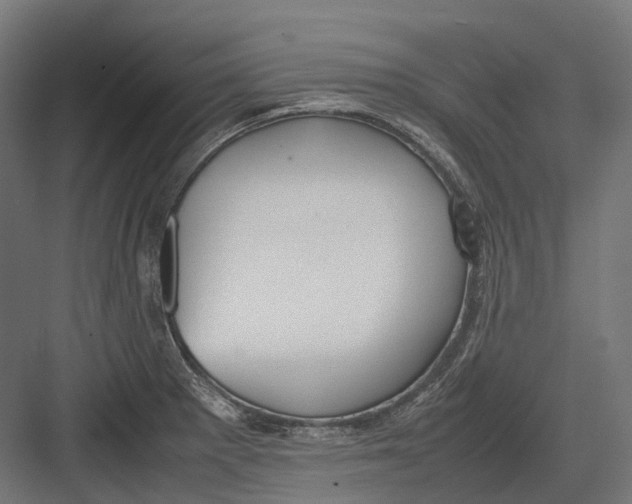 X0000082691281200702161714