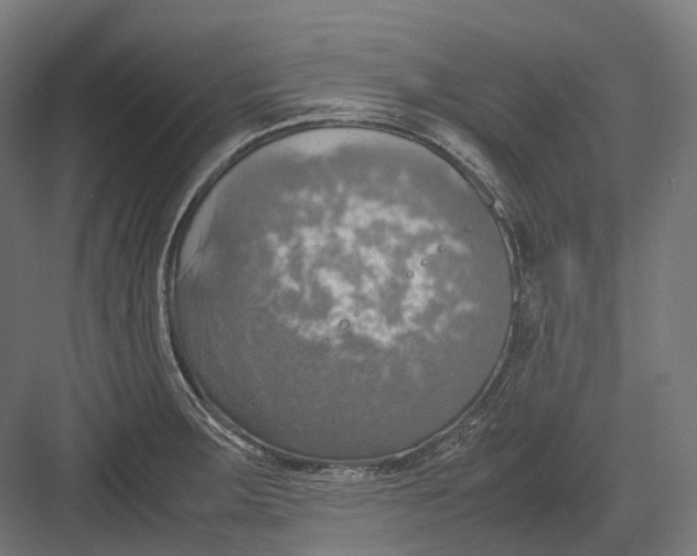 X0000082691283200702161714