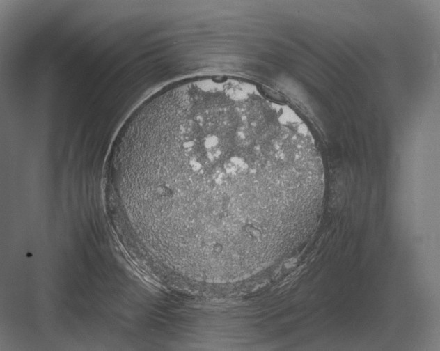 X0000082691284200702161714