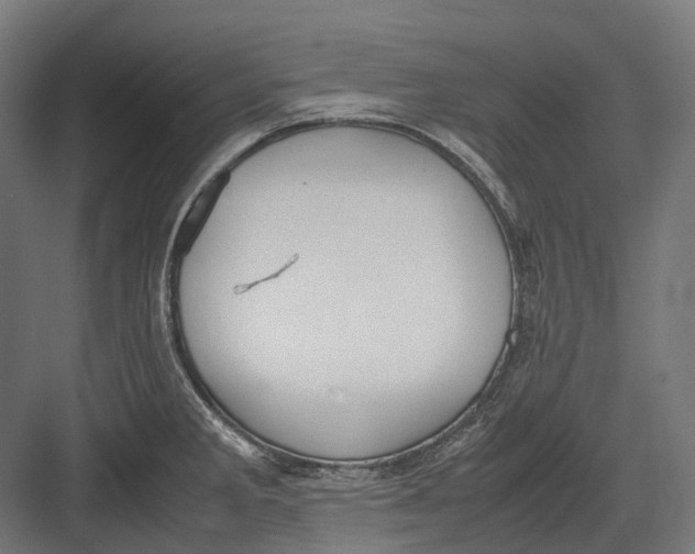 X0000082691285200702161714