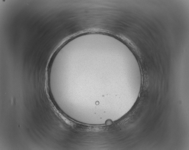 X0000082691286200702161714