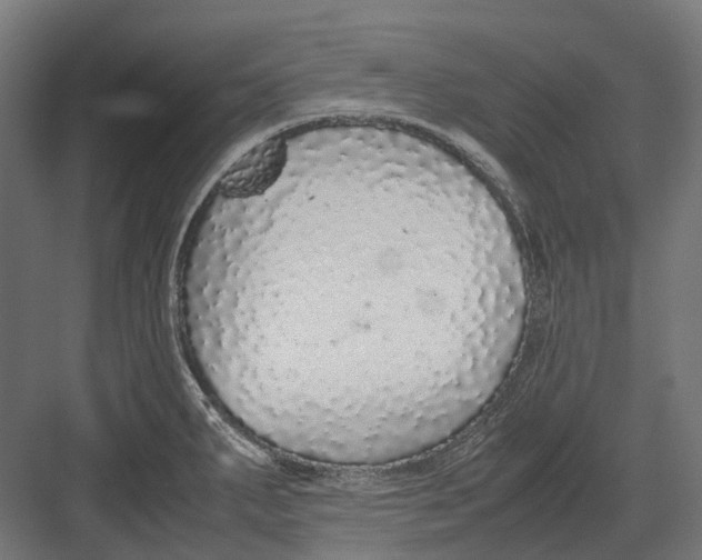 X0000082691287200702161714