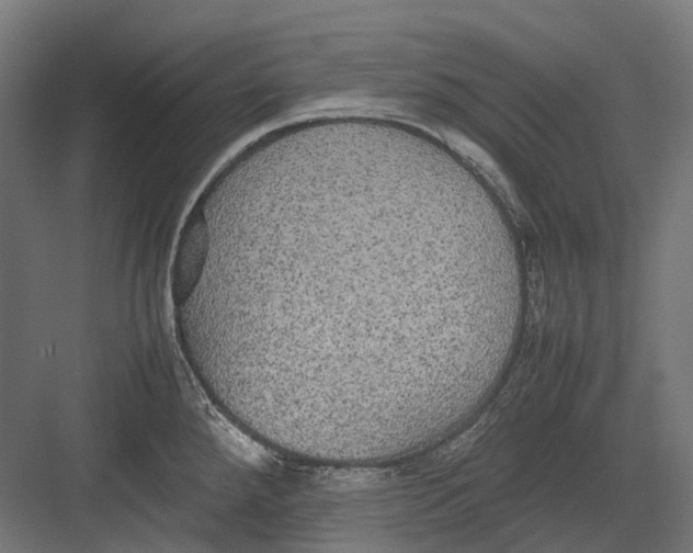 X0000082691288200702161714