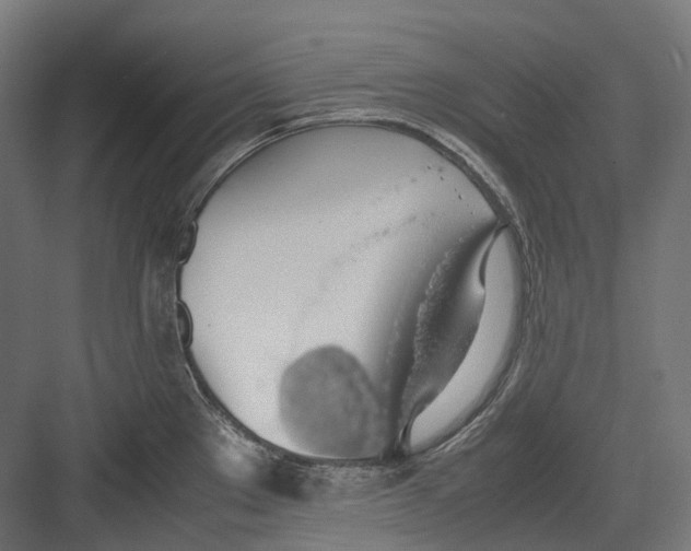 X0000082691289200702161714