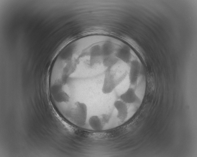 X0000082691290200702161714