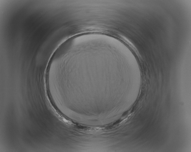 X0000082691291200702161714