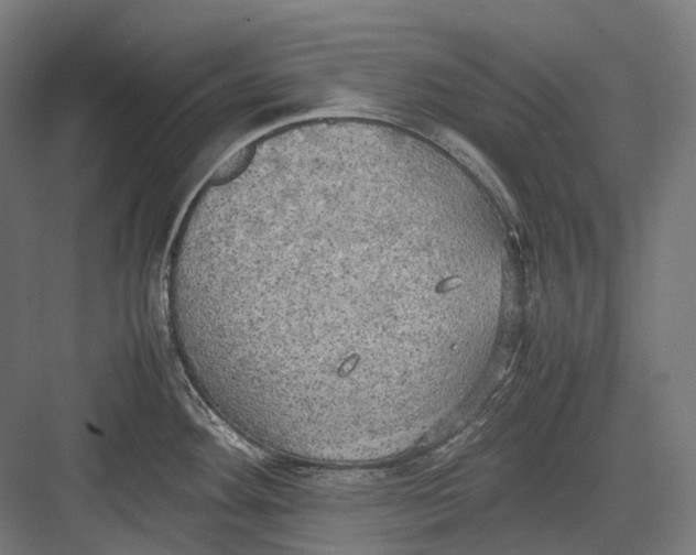 X0000082691292200702161714