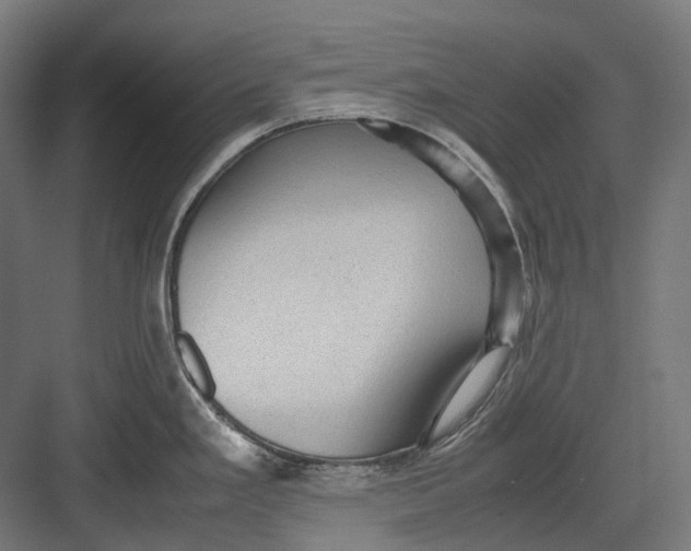 X0000082691293200702161714