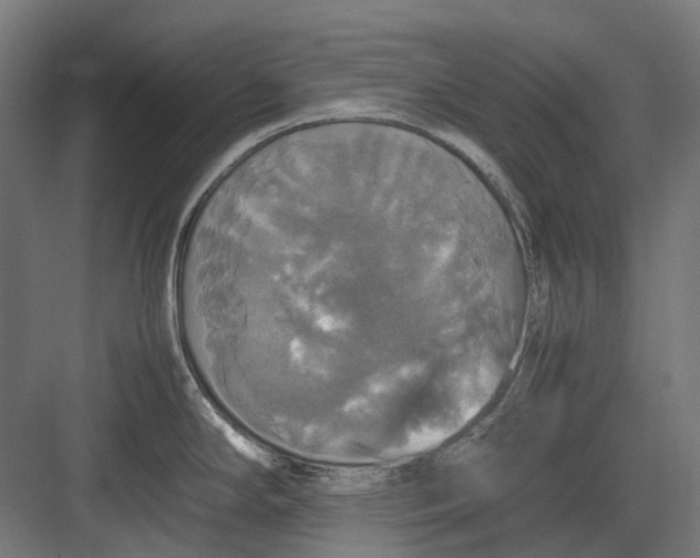 X0000082691294200702161714