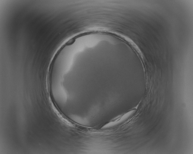 X0000082691295200702161714