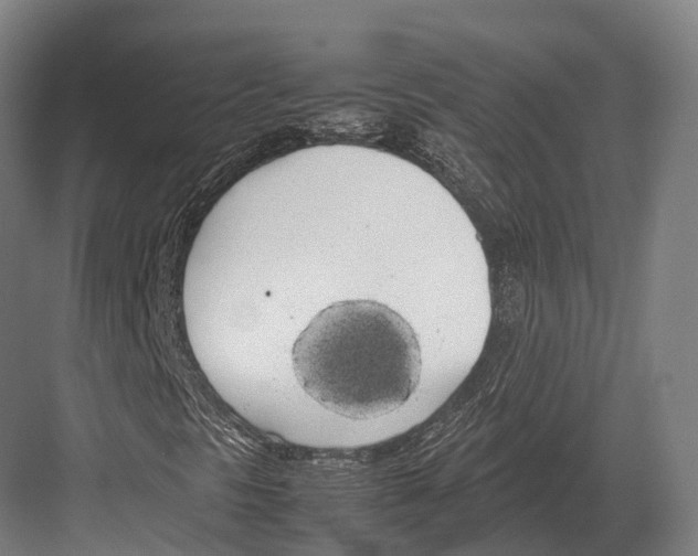 X0000082691297200702161713