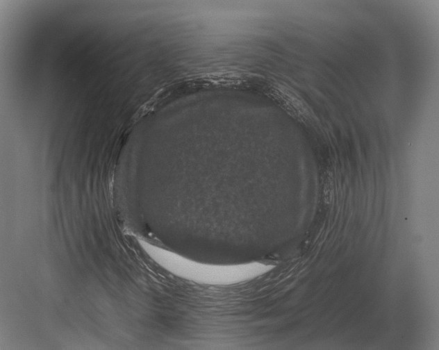 X0000082691298200702161713