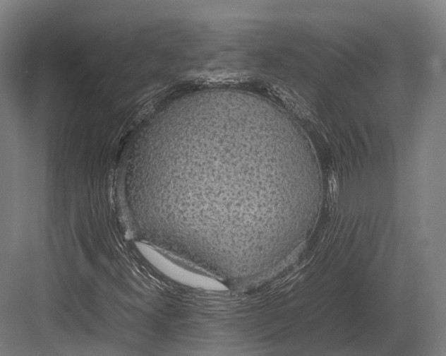 X0000082691300200702161713