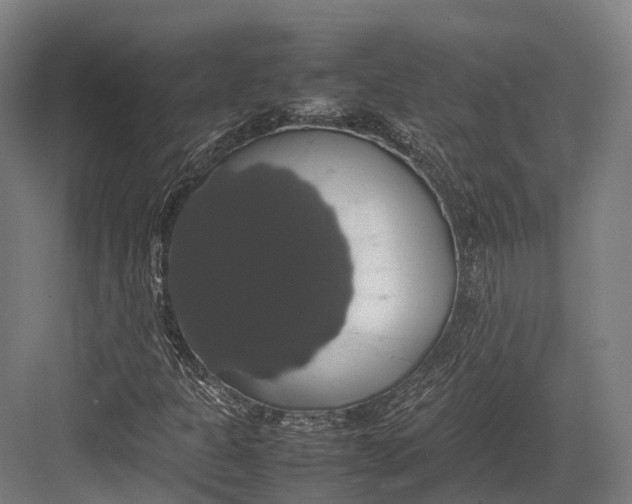 X0000082691301200702161713