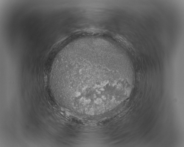 X0000082691302200702161713