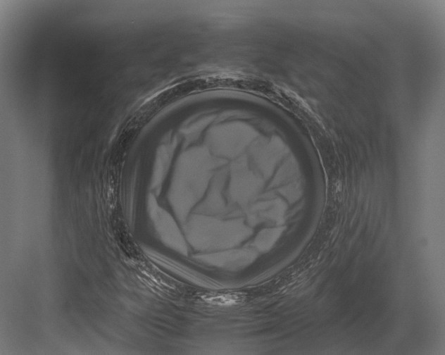 X0000082691303200702161713