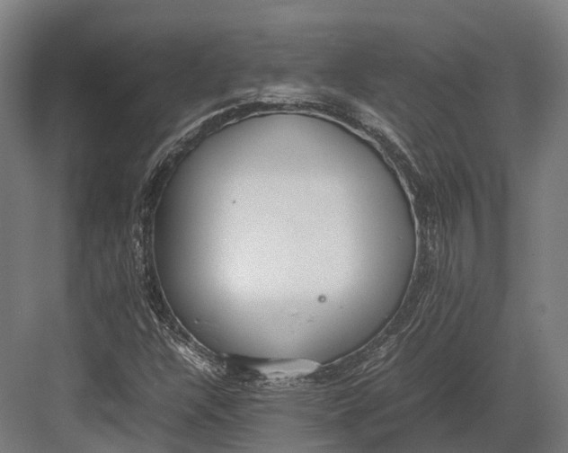 X0000082691304200702161713