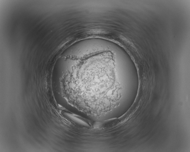 X0000082691305200702161714