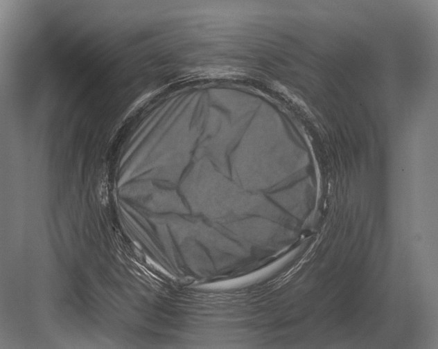 X0000082691306200702161714