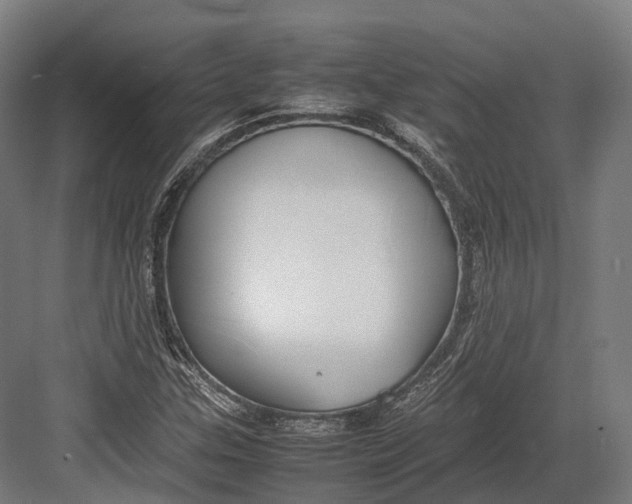 X0000082691307200702161714